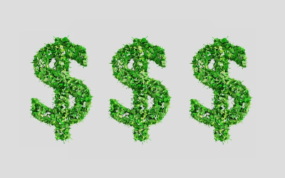How Going Green Can Keep More Money In Your Pocket